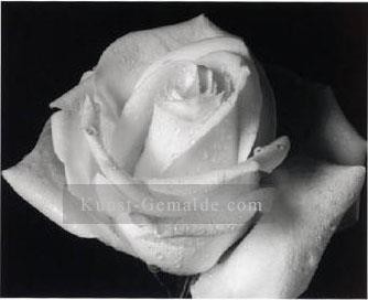  realistisch - xsh009aB realistisch monochrome Blume